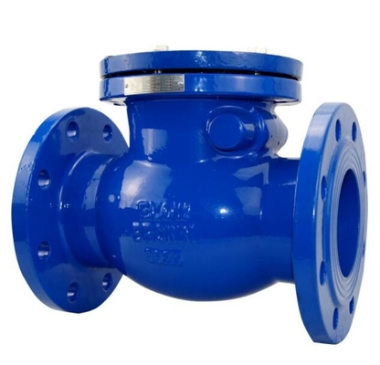 Flanged DIN DN50 DN100 DN200 PN25 स्प्रिंग लोड कास्ट WCB पिस्टन ग्लोब चेक वाल्व