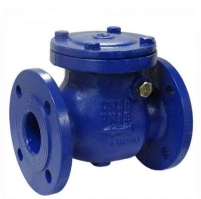 Flanged DIN DN50 DN100 DN200 PN25 स्प्रिंग लोड कास्ट WCB पिस्टन ग्लोब चेक वाल्व