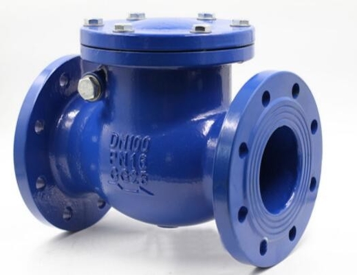 Flanged DIN DN50 DN100 DN200 PN25 स्प्रिंग लोड कास्ट WCB पिस्टन ग्लोब चेक वाल्व