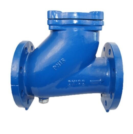 बॉल टाइप चेक वाल्व Dn200 Ss316 Pn16 Flanged End Check वाल्व